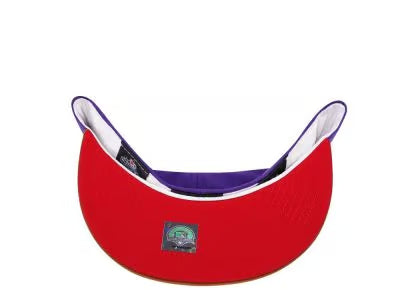 【海外買付品】NEW ERA 59FIFTY NEW ORLEANS ZEPHYRS HEAVY METALLIC TWO TONE