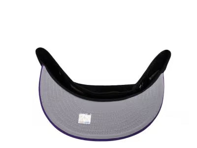 【海外買付品】NEW ERA 59FIFTY TORONTO RAPTORS 30TH ANNIVERSARY BLACK TWO TONE